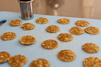 kleine Plättchen aus Hartkrokant